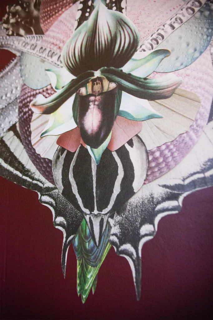 Détail de fresque murale en collage, textures papier et motifs organiques.